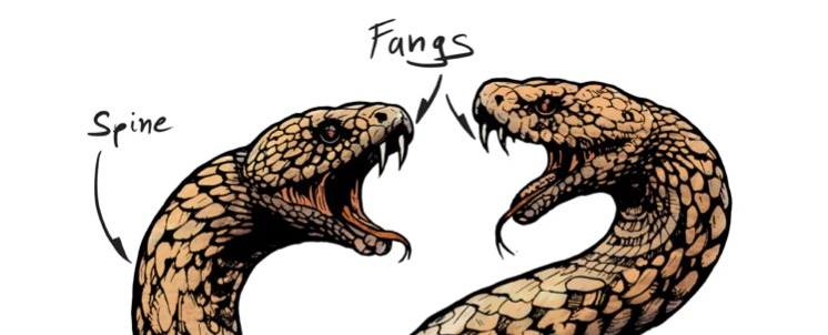 Two snakes twisting around each other, one of the images of the bestiary for ACKS.